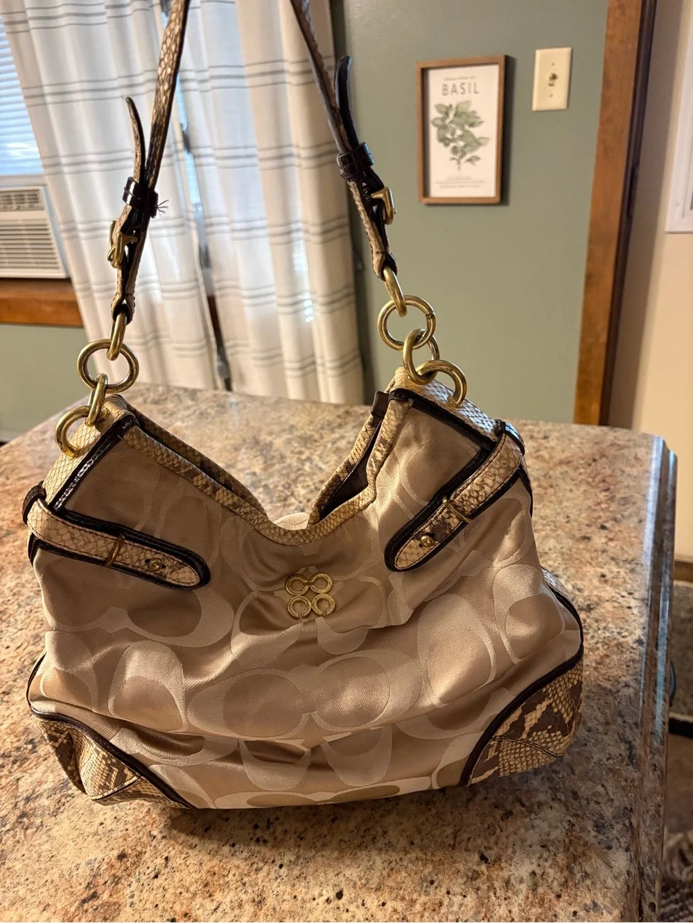 Coach Colette Signature Sateen and Python Hobo Bag